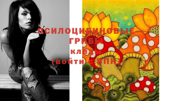 МДПВ Беломорск