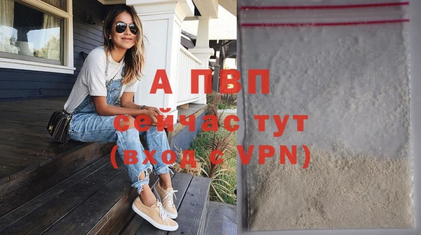 твердый Арсеньев