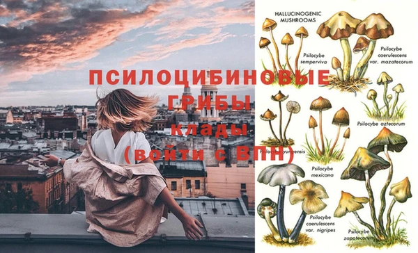 твердый Арсеньев