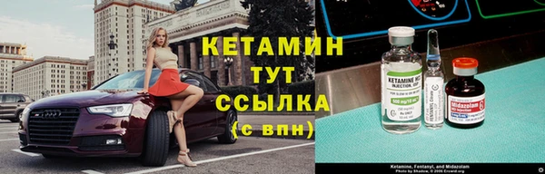 твердый Арсеньев