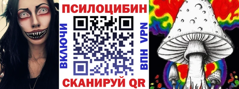 Купить  Северо-Курильск  Галлюциногенные грибы Psilocybe 
